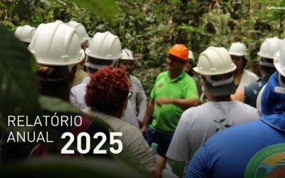 Confira o Relatório de Atividades de 2025 do Diálogo Florestal