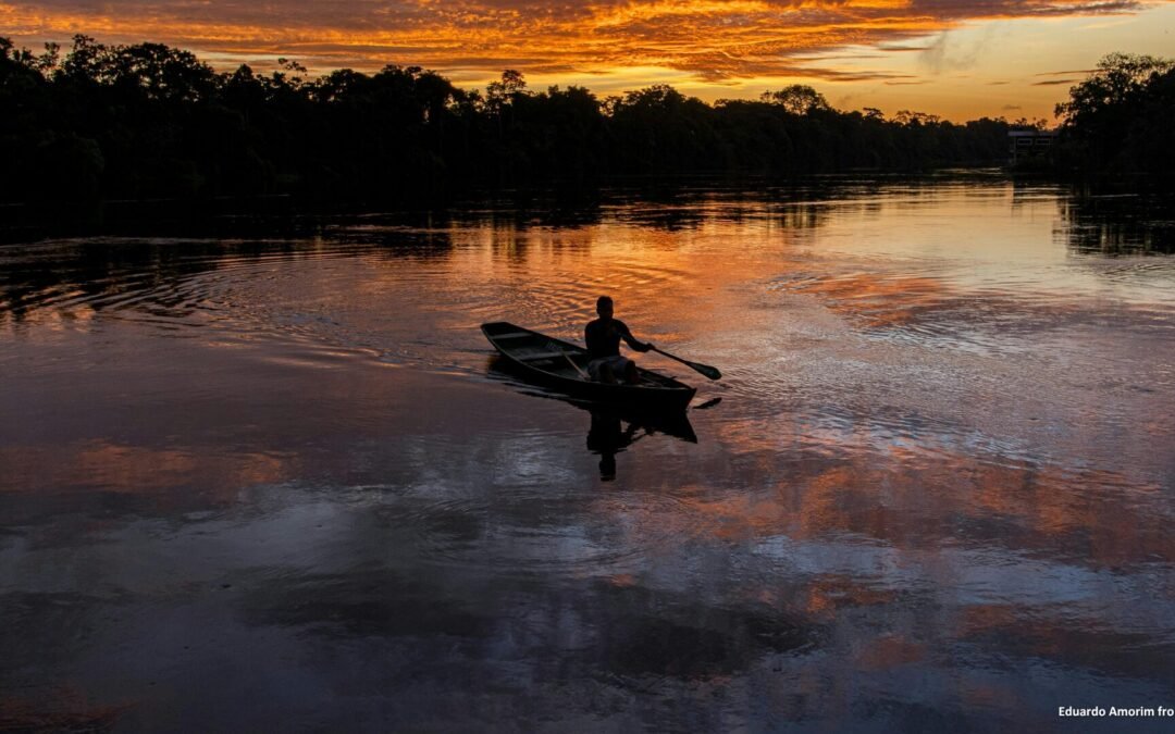 Cinco anos do Fórum Florestal da Amazônia: uma construção coletiva em processo