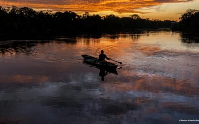 Cinco anos do Fórum Florestal da Amazônia: uma construção coletiva em processo