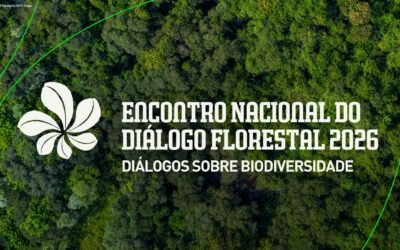 Participe do Encontro Nacional do Diálogo Florestal 2026