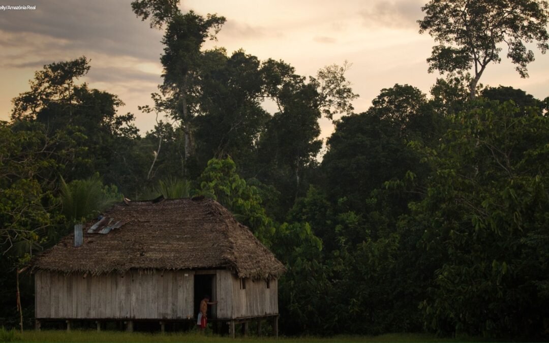 GT de Assistência Técnica e Extensão Florestal do Fórum Florestal da Amazônia dialoga com com o MMA e MDA sobre o Programa Nacional de Manejo Florestal Comunitário e Familiar