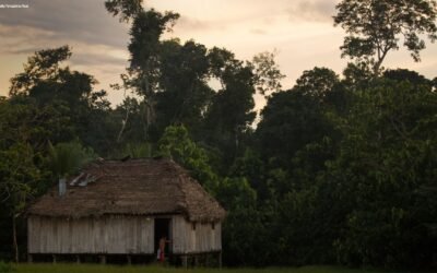 GT de Assistência Técnica e Extensão Florestal do Fórum Florestal da Amazônia dialoga com com o MMA e MDA sobre o Programa Nacional de Manejo Florestal Comunitário e Familiar