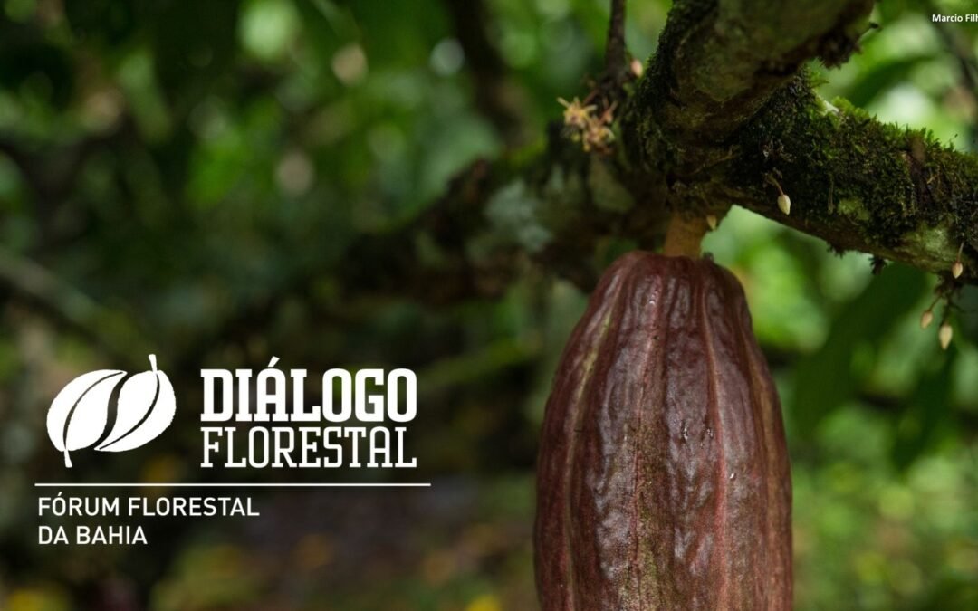 Fórum Florestal da Bahia abre seleção para Instituição Sede da gestão 2027–2029