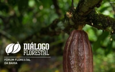 Fórum Florestal da Bahia abre seleção para Instituição Sede da gestão 2027–2029