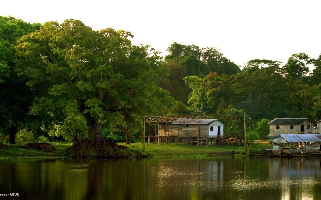 Fórum Florestal da Amazônia participa da construção do Programa Nacional de Manejo Florestal Comunitário e Familiar